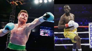 Сауль Альварес - Теренс Кроуфорд Анализ поединка