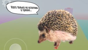 моршу