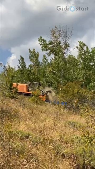  В Крыму возле Алушты в дело вступил FAE PT-300!