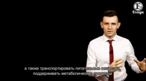 аппарат канген 2