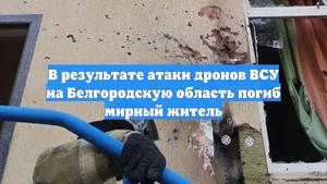 В результате атаки дронов ВСУ на Белгородскую область погиб мирный житель