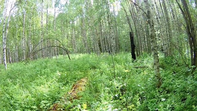 Нашли кучу рельс. Металлокоп смотреть онлайн