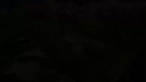 Садовый центр