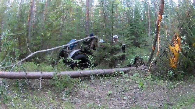 По болотам ищем морошку смотреть онлайн