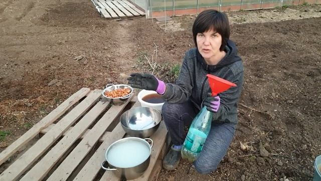 Посадка моркови на кисель. Суперурожай без прореживания. смотреть онлайн