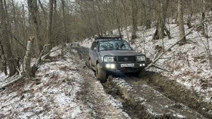 30 января 2025 г.