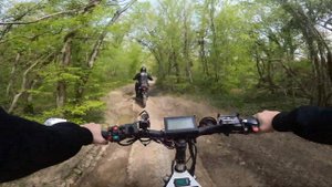 Кипарисы часть 2