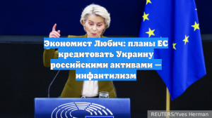 Экономист Любич: планы ЕС кредитовать Украину российскими активами — инфантилизм