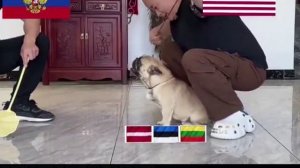 Финляндии не хватает