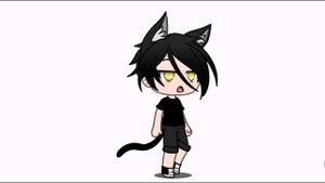 Гача история