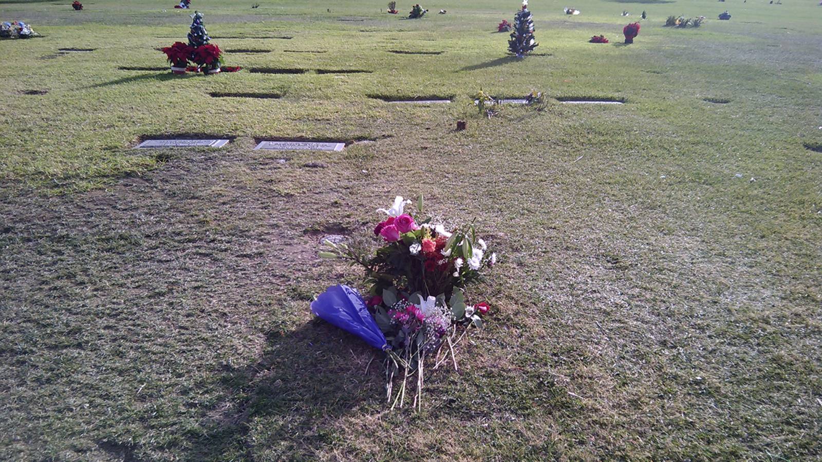 На всё воля Божья смотреть онлайн