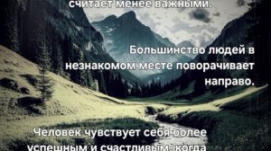 интересные факты + релакс)