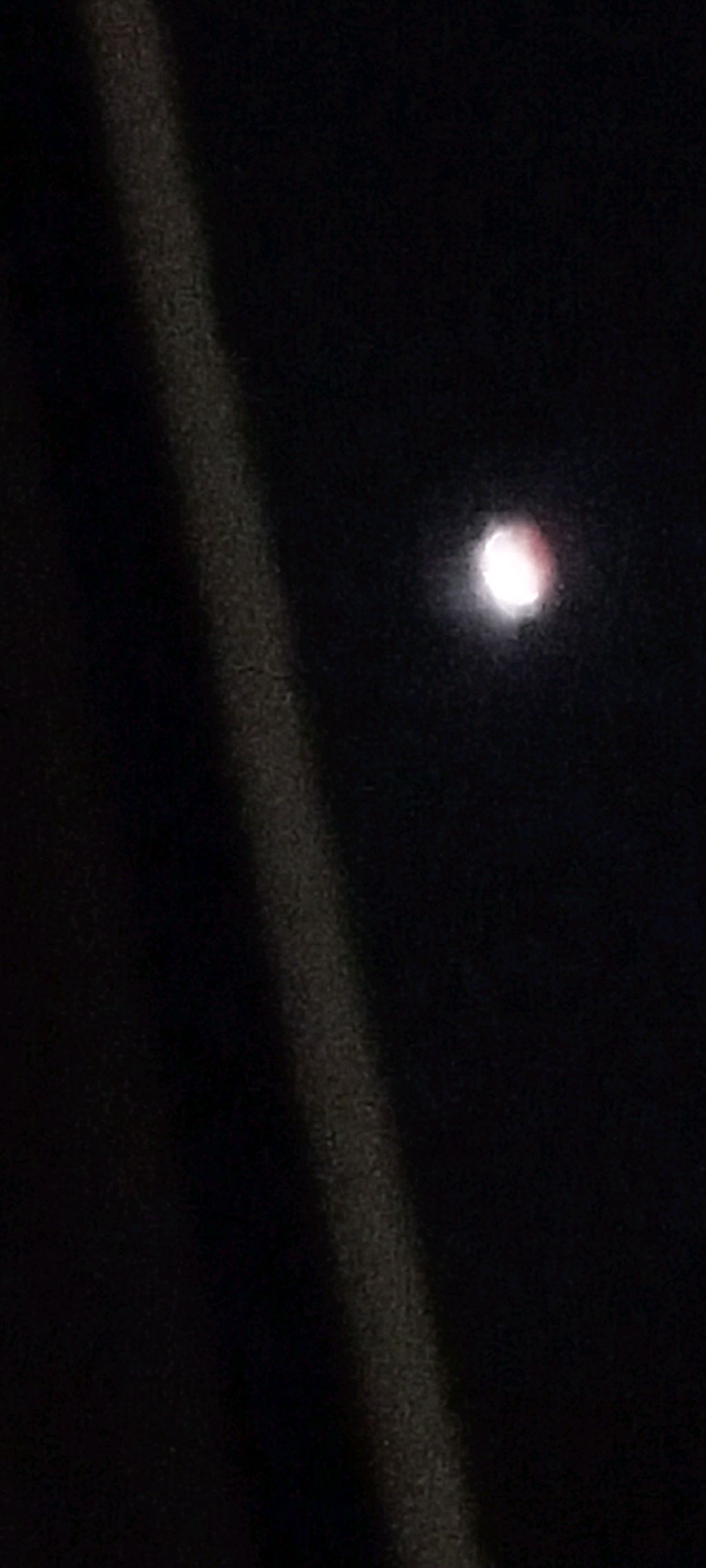 белая дама приди!