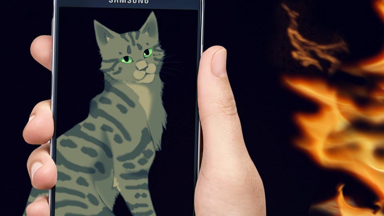 Кот и телефон