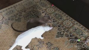 Розовая мышь… подарок Филимону на 11 месяцев д/р