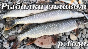 Красоты реки Томь: спокойный сплав превратился в сражение с щуками!🎣
#сплав #рыбалка #томь #щука