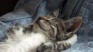 🤔🕉️✅Привычки, которые мешают