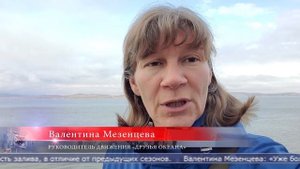 11.09.2025 На Камчатке приостановили спасательную операцию по оказанию помощи косатке