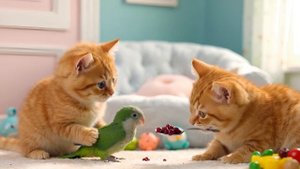 Мама-Кошка и котёнок приходят на помощь малышу-неразлучнику и помогают ему построить гнездо🐱🐦❤️