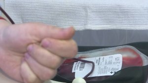Вологжан приглашают поучаствовать во Всероссийской эстафете «Огонь жизни»