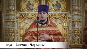 иерей Антоний Червонный, проповедь в день Усекновения главы Иоанна Предтечи