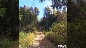 "Вроде всё привычно! Осенняя пора..."
