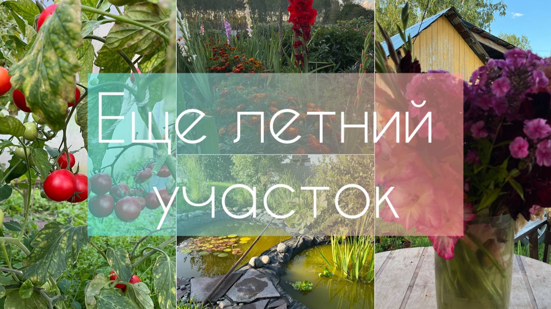 Еще летний участок