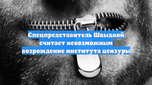 Спецпредставитель Швыдкой считает невозможным возрождение института цензуры