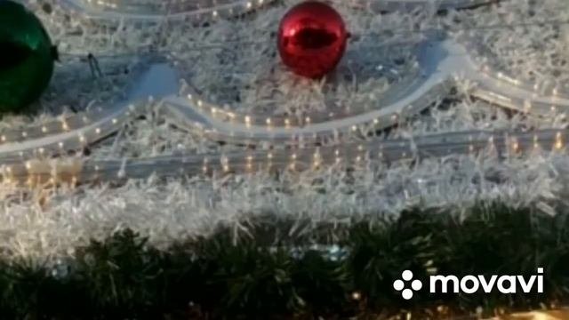 Новогодний Зеленоградск с Петровичем