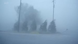 Шум тайфуна. Сильный ветер и дождь. Звуки для сна