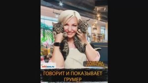 Надежда Румянцева. Мытье кошки