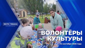 Волонтёры культуры