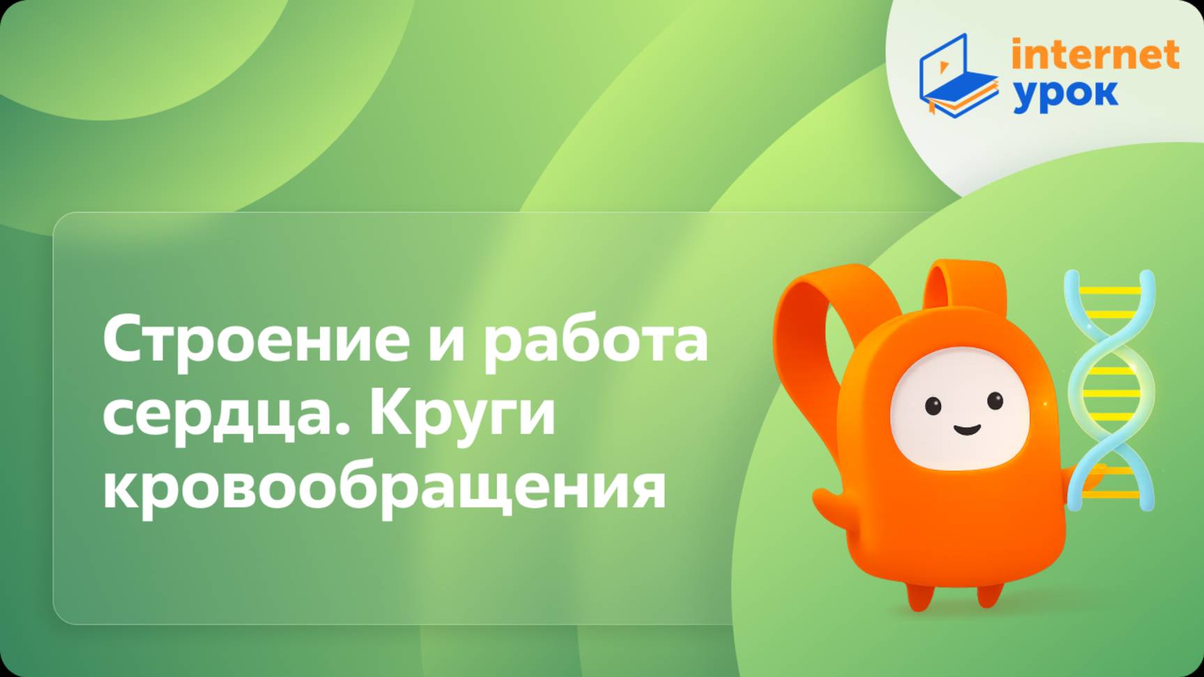 Биология 8 класс. Строение и работа сердца. Круги кровообращения смотреть онлайн