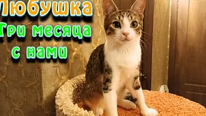Любушка. Три месяца с нами.