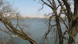 16--03--2025  ПРОГУЛКА   (37)