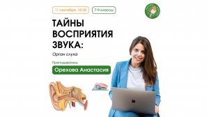 Тайны восприятия звука: орган слуха