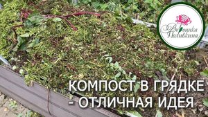 КОМПОСТ В ГРЯДКЕ