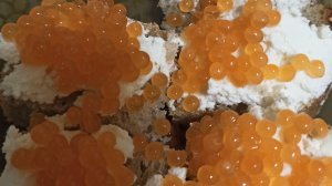 Баклажаны в духовке.