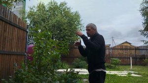 Бокс. Бросок кулака.