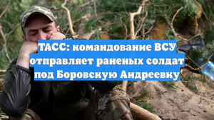 ТАСС: командование ВСУ отправляет раненых солдат под Боровскую Андреевку