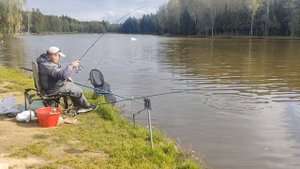 petal_20250912_125942