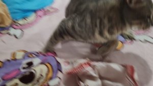 Деревенский уот отдыхает, счастливая жизнь в деревне