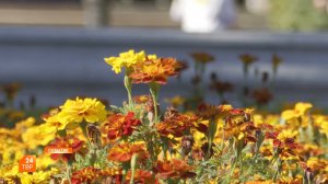 Прогноз погоды