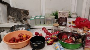 деревенский вечер, урожай