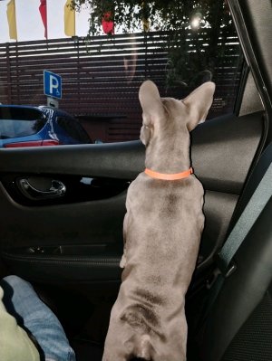 Когда болею