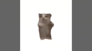 1000015637.mp4