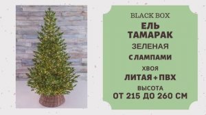 Black Box - ОБЗОР искусственной ели Тамарак зелёная с лампами