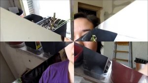 6-2018 КИСКА АЛИСКА! Что я шью_ Открываю ПОСЫЛКУ _ Elena Pero