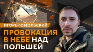 Игорь Гомольский. Когда завершится СВО и как вымирает Украина?