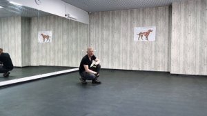 Как научить собаку команде ФУ  Как научить щенка слышать команду "Фу"